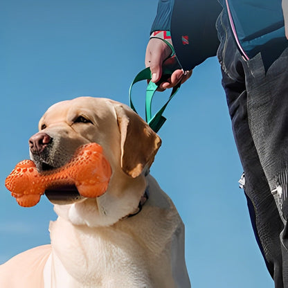 Chien jouant avec l'os en caoutchouc BrushiBone, durable et équipé d'une brosse à dents intégrée pour nettoyer les dents et masser les gencives.