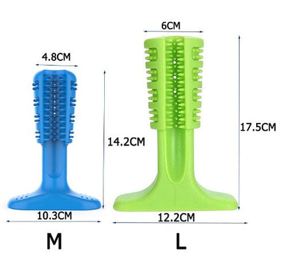 Chien mâchant le jouet DuraDent en caoutchouc naturel, conçu pour nettoyer les dents et résister aux mâcheurs agressifs. Jouet interactif avec réservoir de dentifrice.