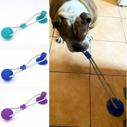 PawGrip | Jouet à Mâcher avec Ventouse pour Chien