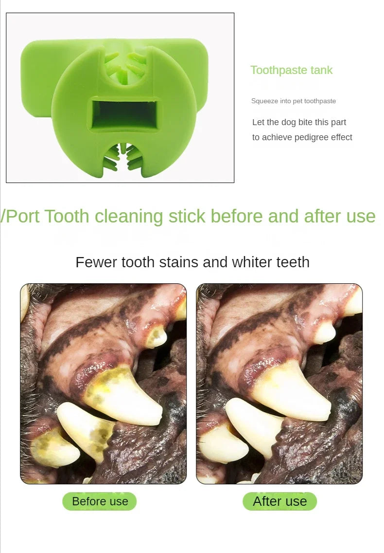 Chien mâchant le jouet DuraDent en caoutchouc naturel, conçu pour nettoyer les dents et résister aux mâcheurs agressifs. Jouet interactif avec réservoir de dentifrice.