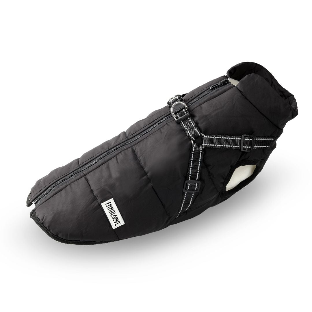 Manteau imperméable StormGuard pour chien, sangles abdominales pour un ajustement parfait, protection contre la pluie et le vent.