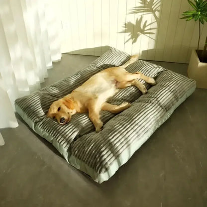 GrandNest | Grand lit amovible pour chien avec housse lavable