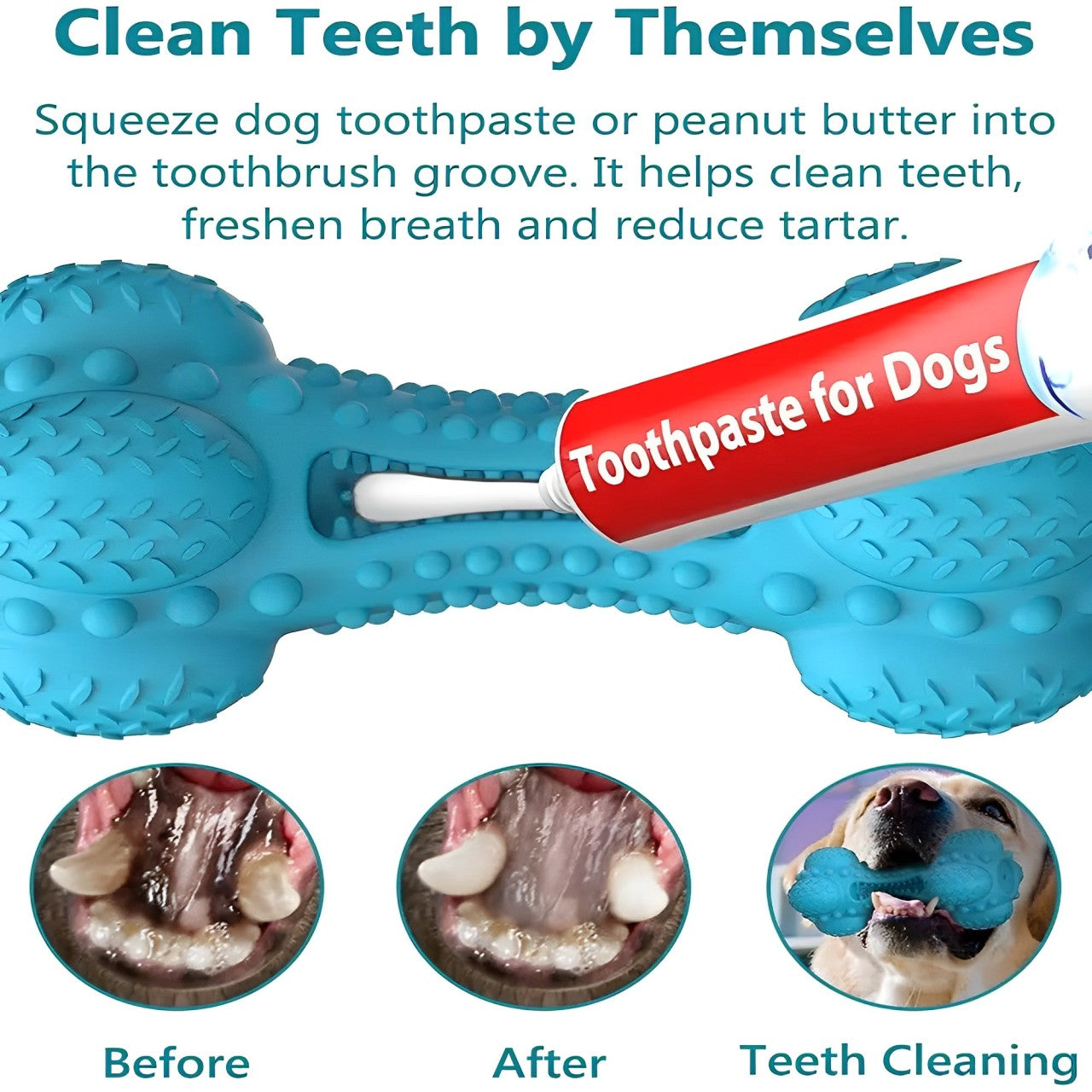 Chien jouant avec l'os en caoutchouc BrushiBone, durable et équipé d'une brosse à dents intégrée pour nettoyer les dents et masser les gencives.