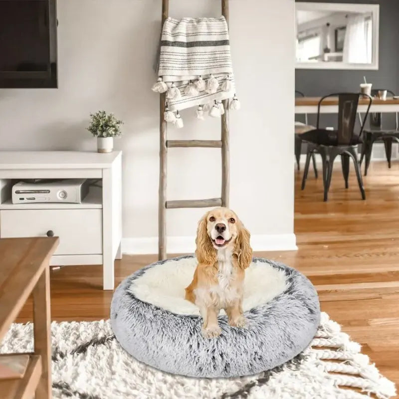 MaxComfort | Panier gris en coton et peluche pour chien XXL