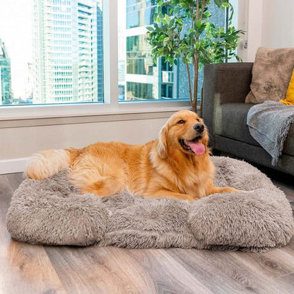 Chien couché sur le coussin orthopédique DoggyDream, moelleux et confortable, avec bord relevé pour un soutien optimal et un effet cocon.