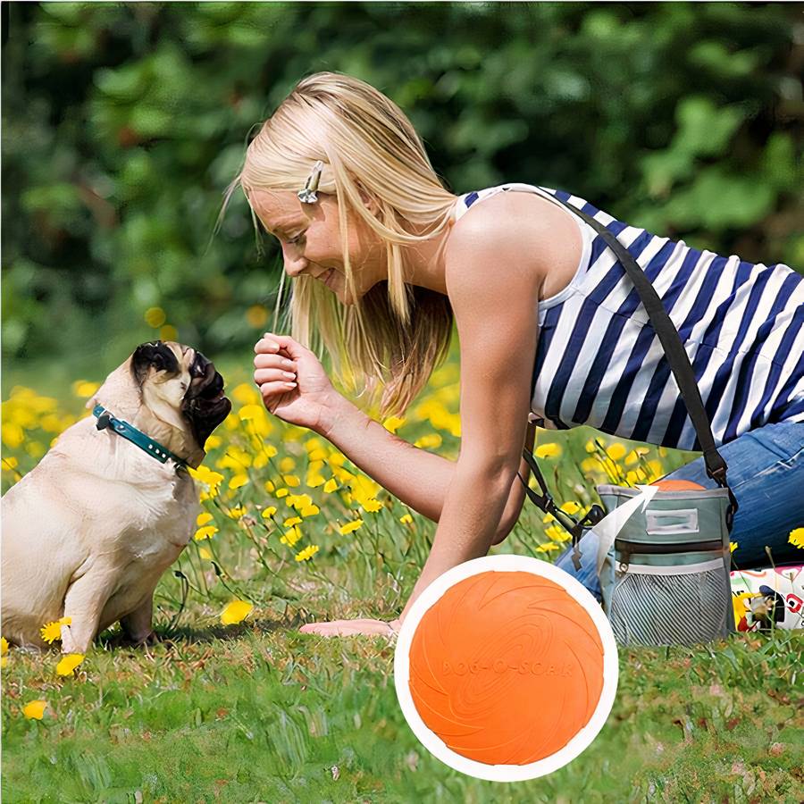 ChaseToy | Soucoupe Volante en Silicone Sécurisée pour Chien