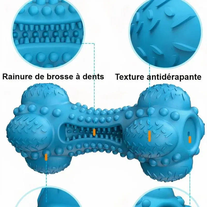 ChocoPaw | Jouet à Mâcher en Caoutchouc Durable pour Chien