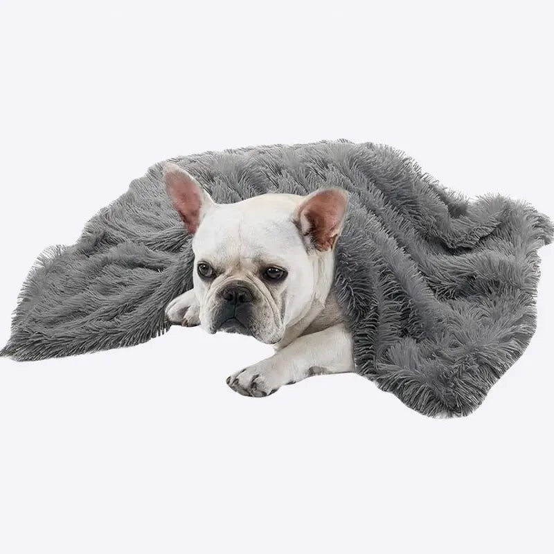 CozyCover | Couverture douce et fine pour chien