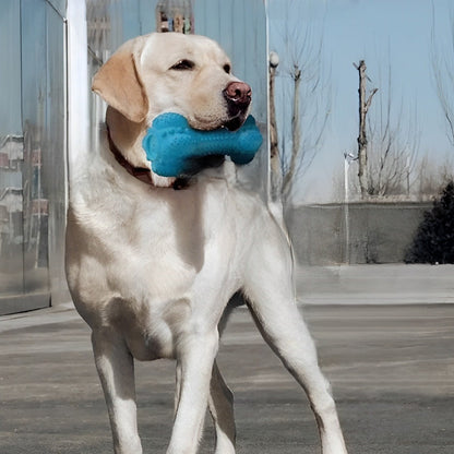 Chien jouant avec l'os en caoutchouc BrushiBone, durable et équipé d'une brosse à dents intégrée pour nettoyer les dents et masser les gencives.