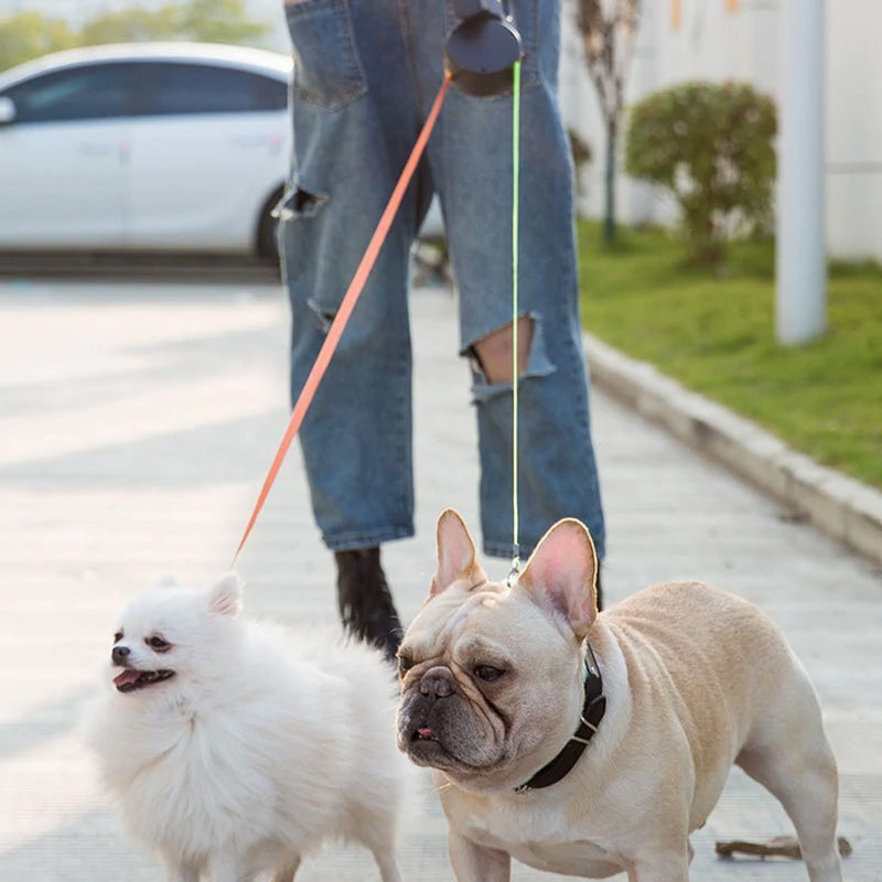 NightLeash, laisse rétractable pour chien avec lampe de poche intégrée, longueur réglable, poignée ergonomique pour des promenades en toute sécurité.