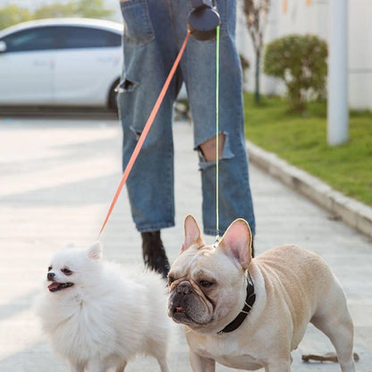 NightLeash, laisse rétractable pour chien avec lampe de poche intégrée, longueur réglable, poignée ergonomique pour des promenades en toute sécurité.