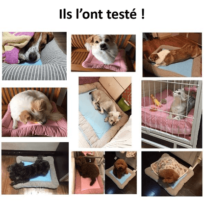 Breeze | Tapis rafraîchissant pour chien