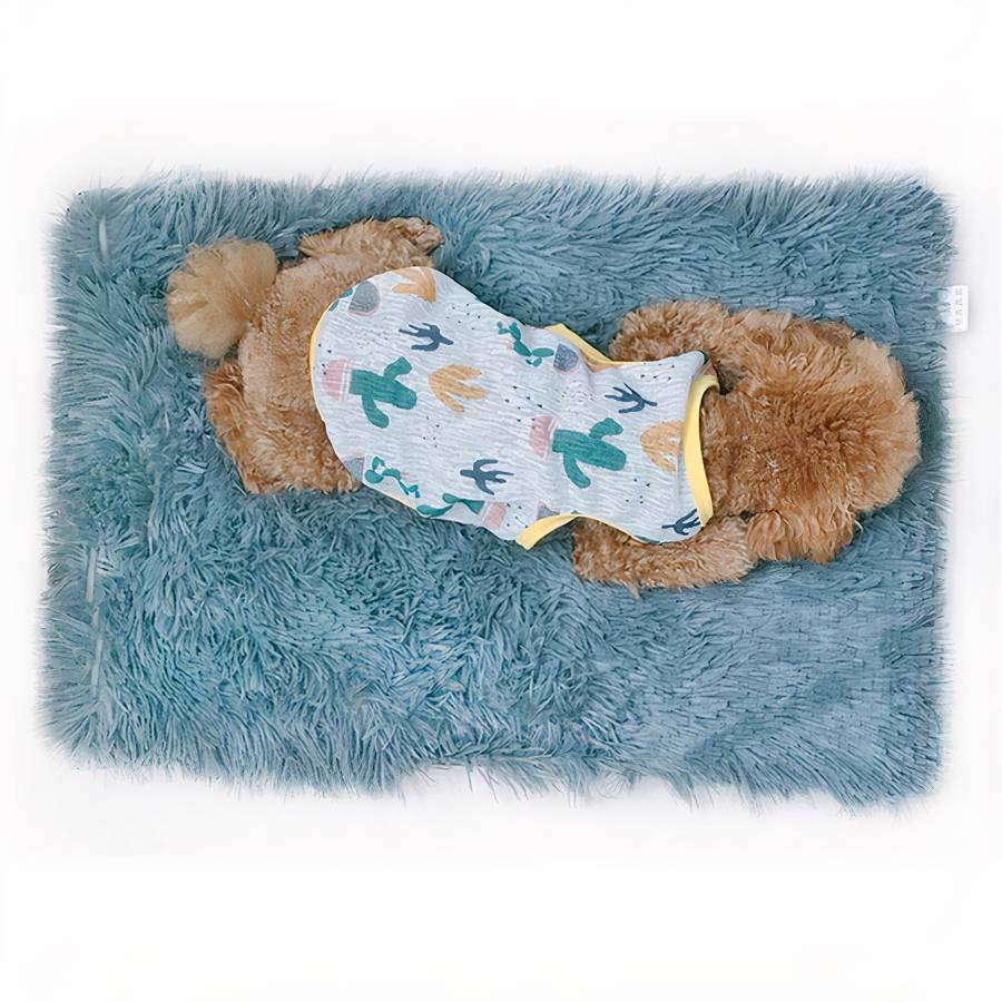 PelucheDream | Coussin en peluche pour chien