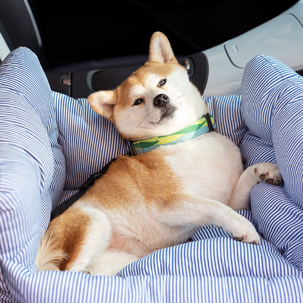 Chien installé confortablement dans le coussin de voyage ComfyDrive pour voiture, rembourrage doux et sangles de sécurité.