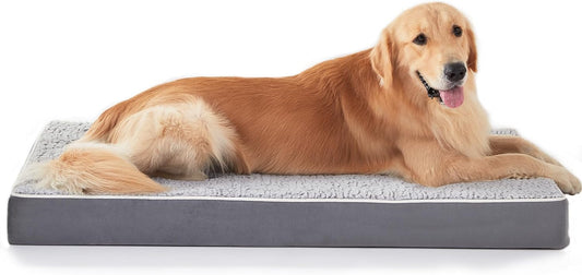 Chien de grande taille se reposant confortablement sur le lit orthopédique OrthoMax, avec mousse en relief pour un soutien optimal et housse imperméable.