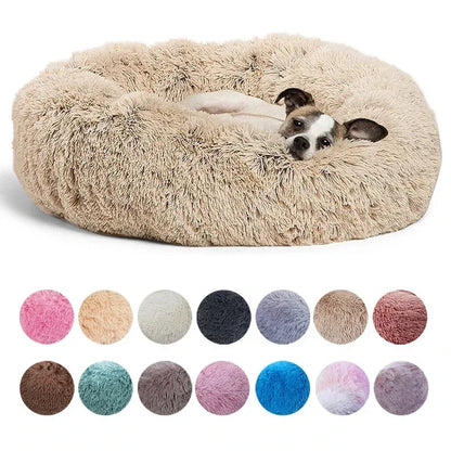 Chien couché dans le lit rond SnugNest, moelleux et confortable, en tissu fleece corail doux, disponible en plusieurs couleurs et tailles.