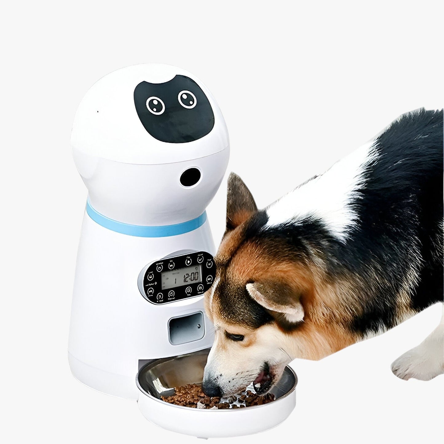 Distributeur automatique SmartFeeder pour animaux, avec minuteur programmable et message vocal personnalisé. Grande capacité de stockage et nettoyage facile.