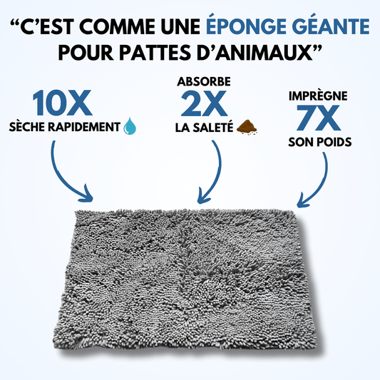 PawShield | Tapis absorbant pour animaux