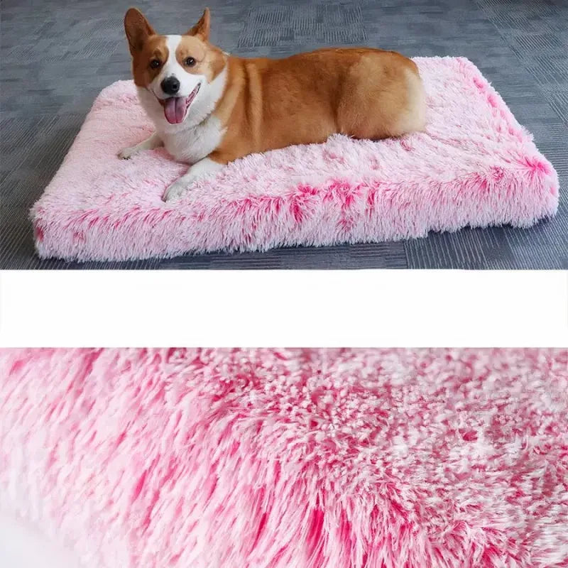 BellaBed | Lit pour chien rose