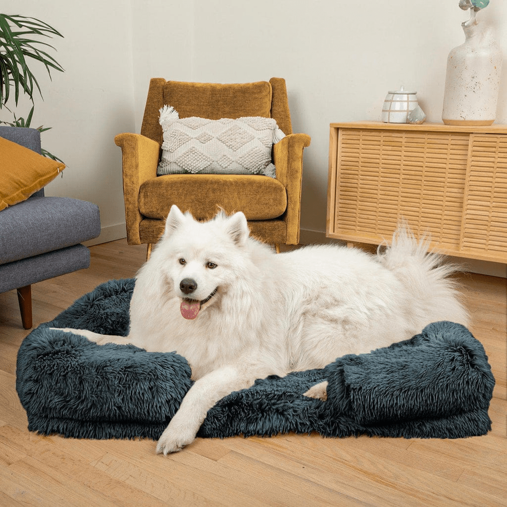 Chien couché sur le coussin orthopédique DoggyDream, moelleux et confortable, avec bord relevé pour un soutien optimal et un effet cocon.