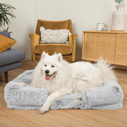 Chien couché sur le coussin orthopédique DoggyDream, moelleux et confortable, avec bord relevé pour un soutien optimal et un effet cocon.