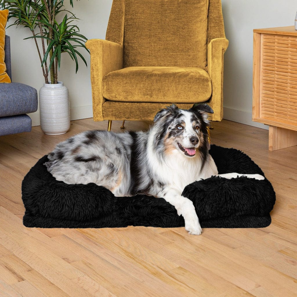 Chien couché sur le coussin orthopédique DoggyDream, moelleux et confortable, avec bord relevé pour un soutien optimal et un effet cocon.