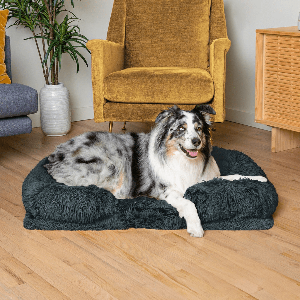 Chien couché sur le coussin orthopédique DoggyDream, moelleux et confortable, avec bord relevé pour un soutien optimal et un effet cocon.