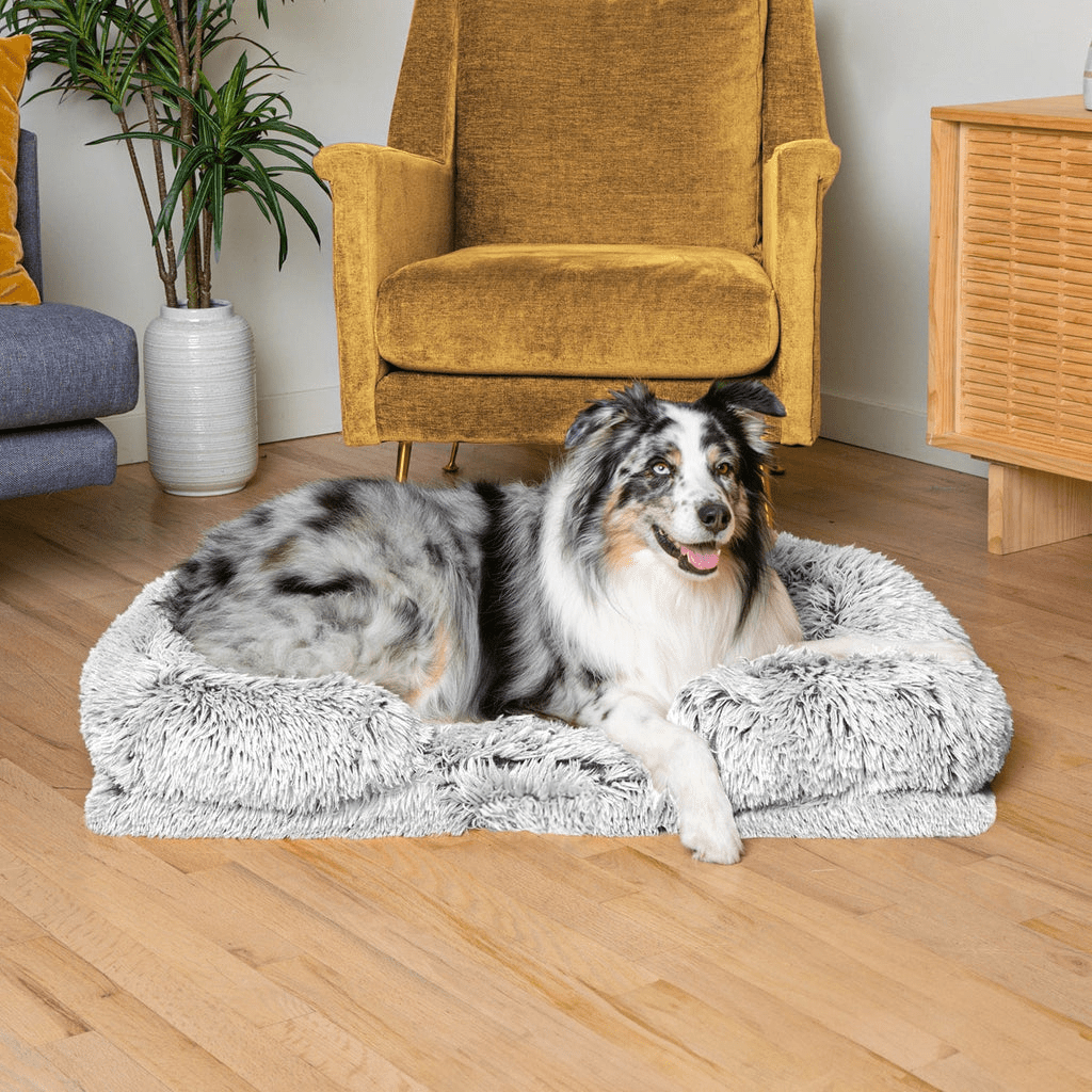 Chien couché sur le coussin orthopédique DoggyDream, moelleux et confortable, avec bord relevé pour un soutien optimal et un effet cocon.