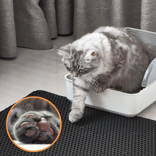 Tapis CleanPaws pour chat, doux et antidérapant, avec technologie de collecte de litière à double couche, idéal pour garder la maison propre.