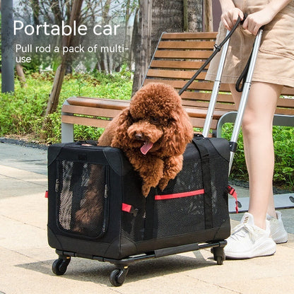 Clara | Sac Trolley Élégant pour Animaux avec Support de Voiture