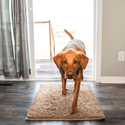 PawShield | Tapis absorbant pour animaux