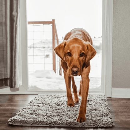 PawShield | Tapis absorbant pour animaux