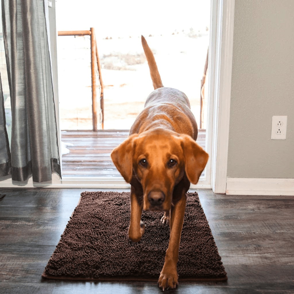 PawShield | Tapis absorbant pour animaux