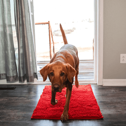 PawShield | Tapis absorbant pour animaux