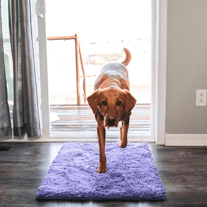 PawShield | Tapis absorbant pour animaux