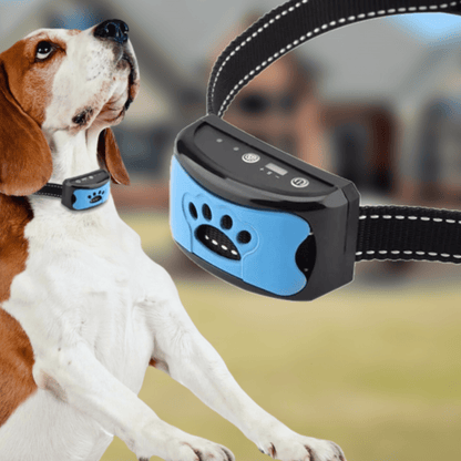 Collier anti-aboiement BarkControl pour chien, avec technologie de vibrations et ultrasons, sans douleur, ajustable et rechargeable par USB.